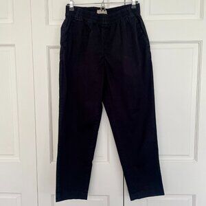 Everlane “The Easy Chino” pull on pants | Size 4